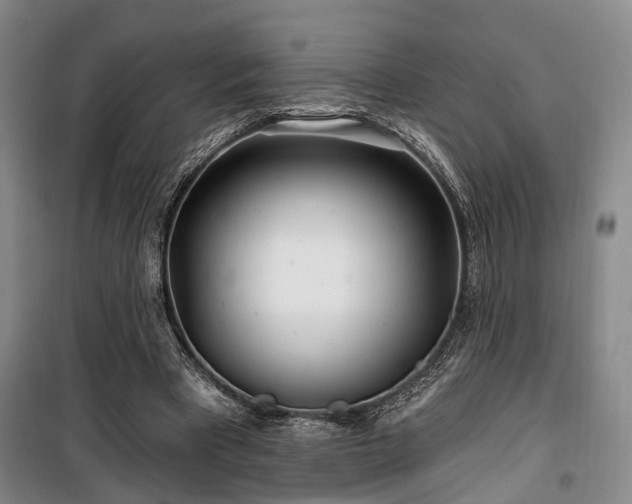 X0000100200393200805301315