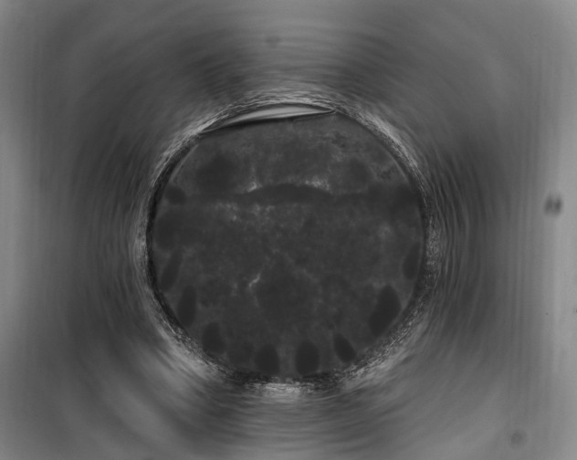 X0000100200394200805301315