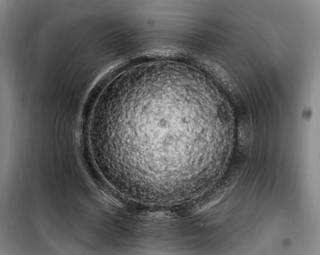 X0000100200396200805301315