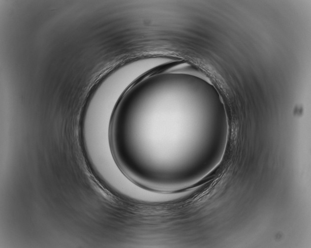 X0000100200397200805301315