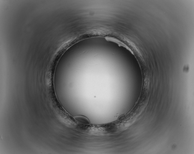 X0000100200403200805301314