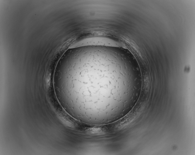 X0000100200406200805301314