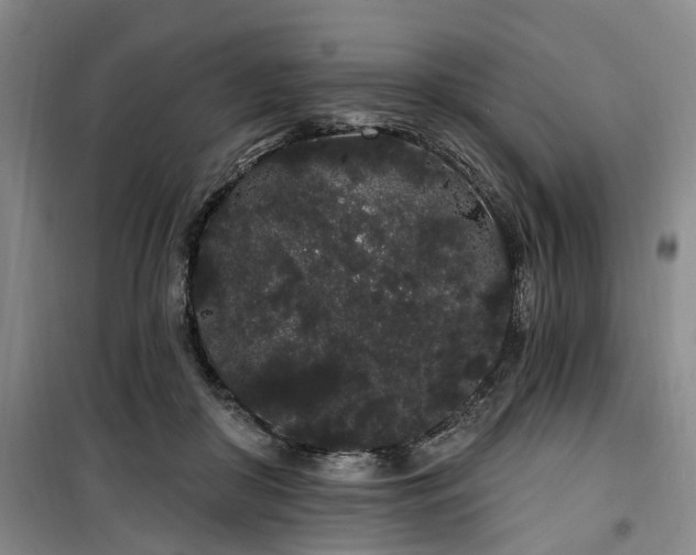 X0000100200410200805301314