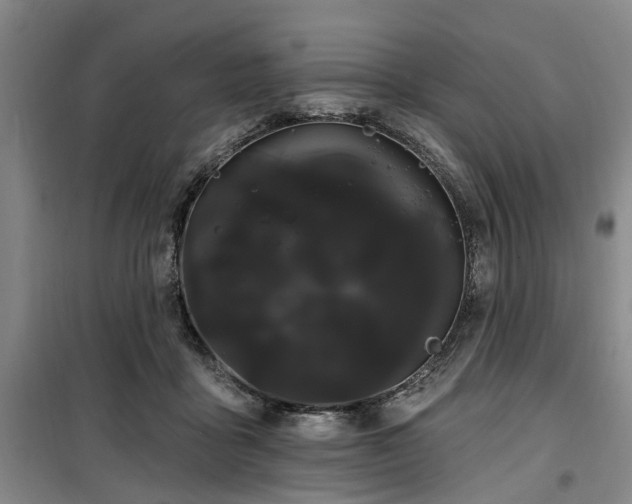 X0000100200411200805301314