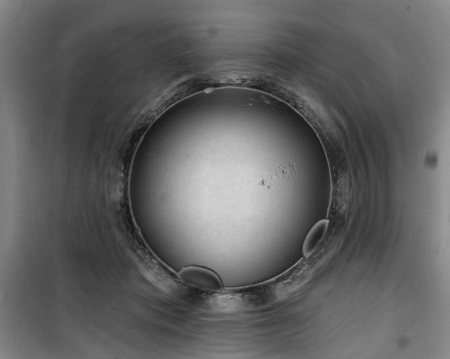 X0000100200413200805301314