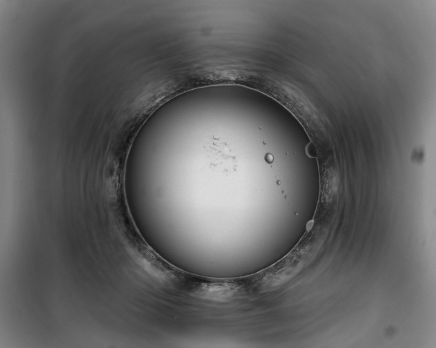 X0000100200414200805301314