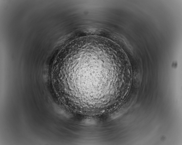 X0000100200416200805301314