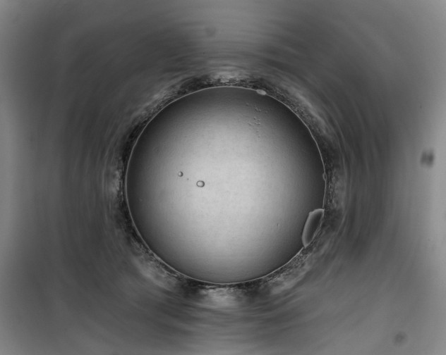 X0000100200417200805301314