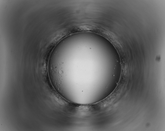 X0000100200418200805301314