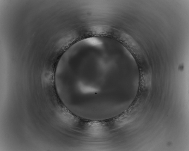 X0000100200419200805301314