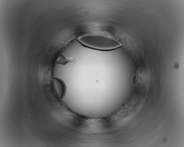 X0000100200422200805301314