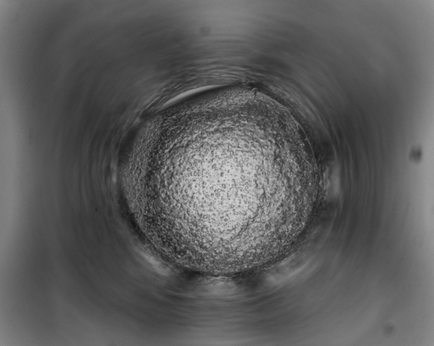 X0000100200424200805301314