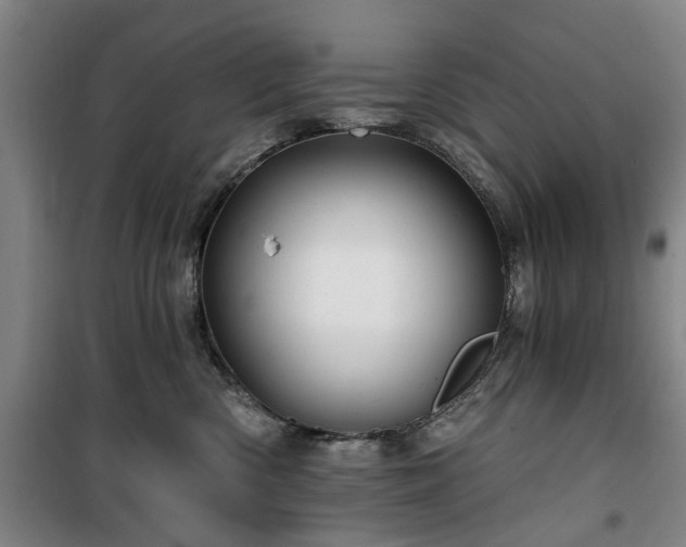 X0000100200426200805301314