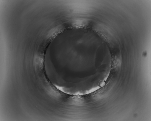 X0000100200427200805301314