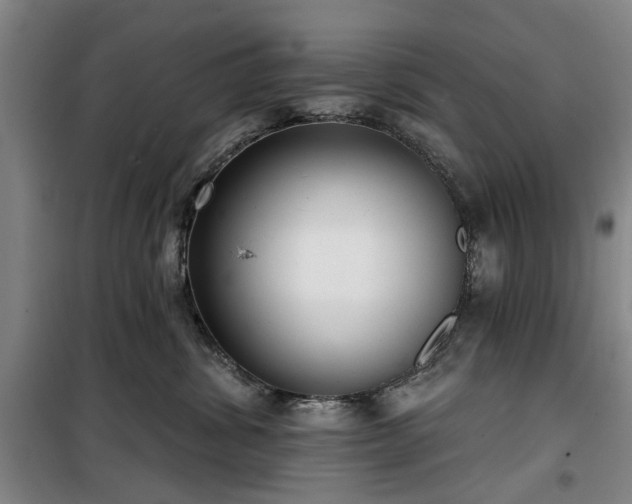 X0000100200428200805301314