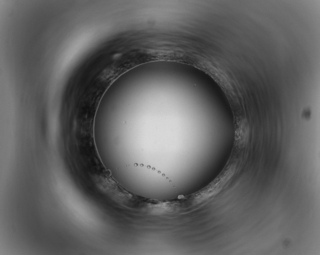 X0000100200430200805301314