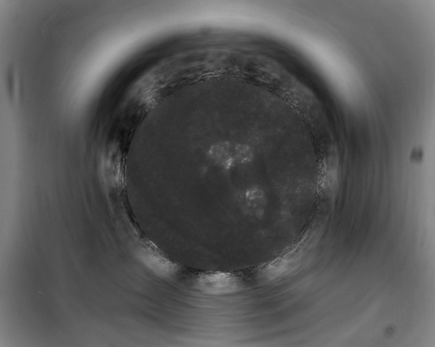 X0000100200431200805301314