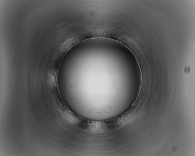 X0000100200432200805301314