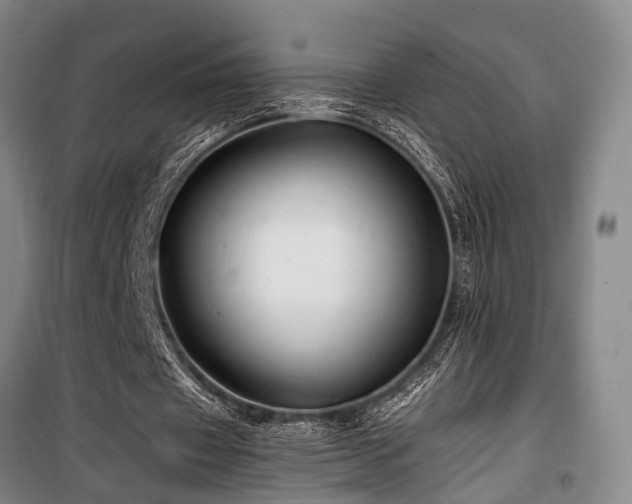 X0000100200433200805301313