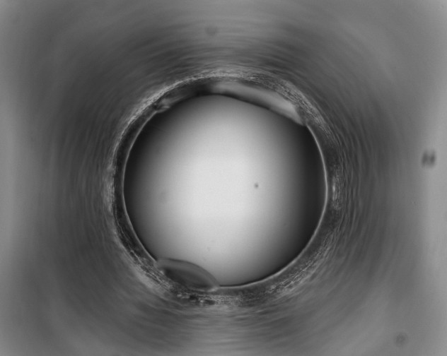 X0000100200436200805301313