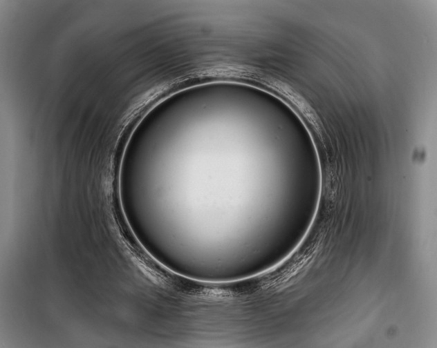 X0000100200437200805301313