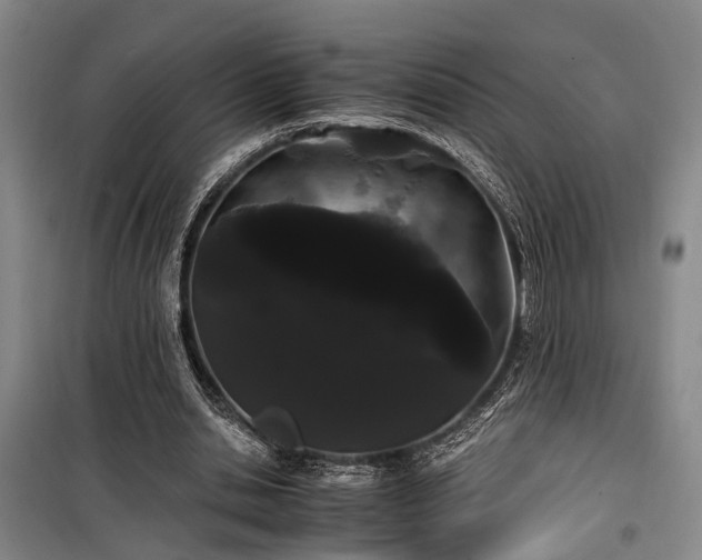 X0000100200438200805301313