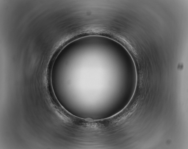 X0000100200439200805301313