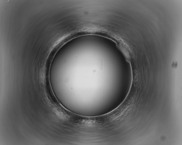 X0000100200440200805301313