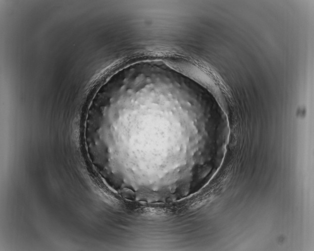 X0000100200442200805301313