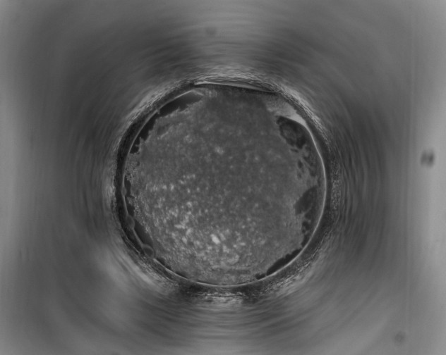 X0000100200443200805301313