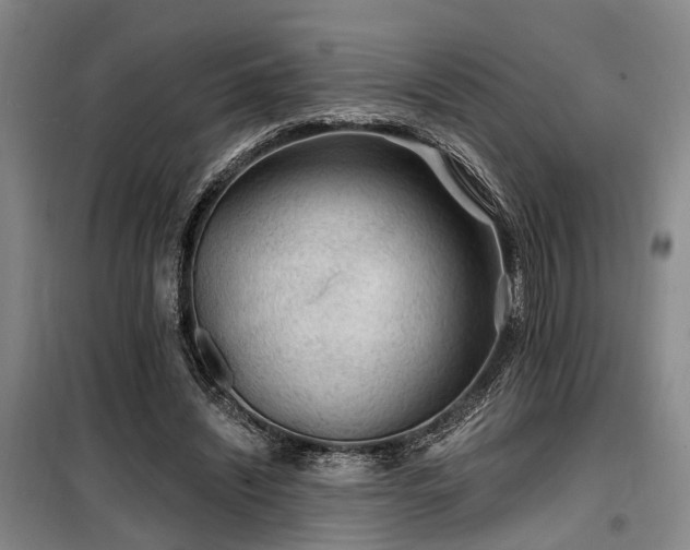 X0000100200444200805301313