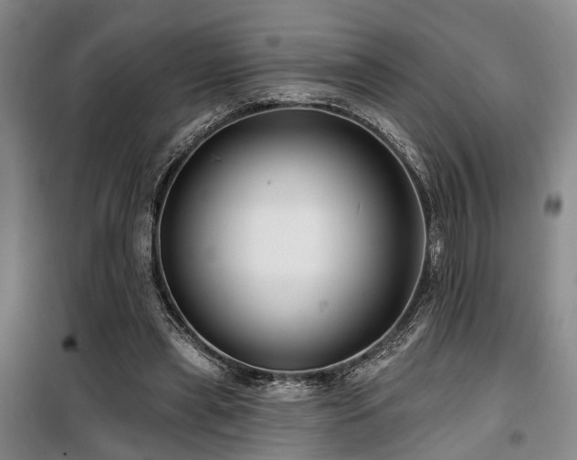 X0000100200445200805301313