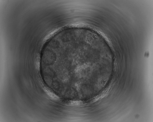 X0000100200446200805301313