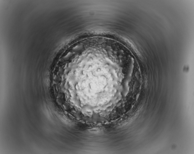 X0000100200447200805301314