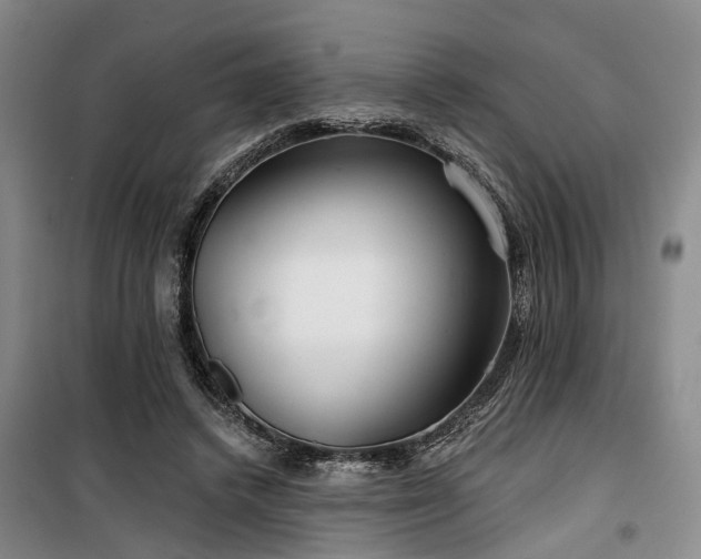 X0000100200448200805301314