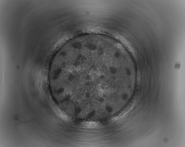 X0000100200449200805301314