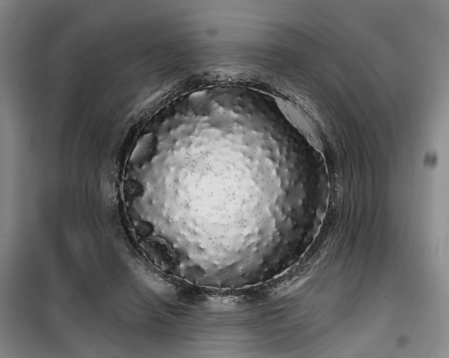 X0000100200450200805301314