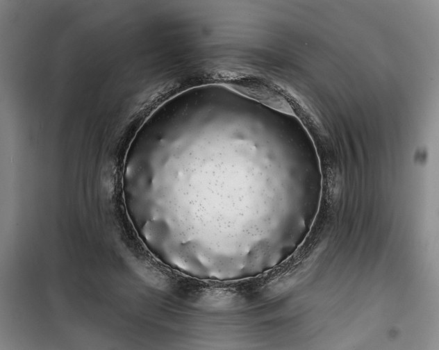 X0000100200451200805301314