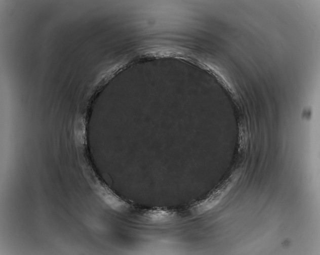 X0000100200453200805301314