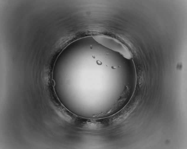 X0000100200455200805301314