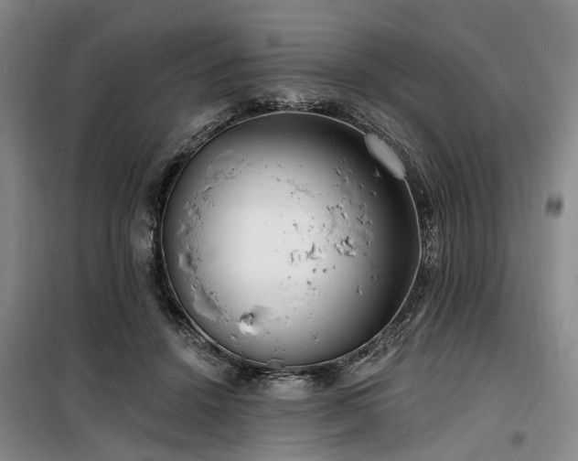 X0000100200456200805301314