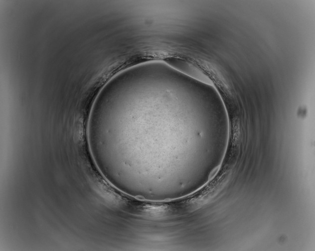 X0000100200457200805301314