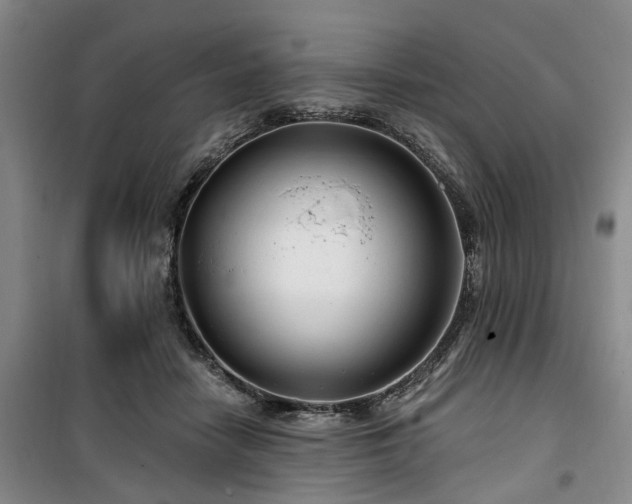 X0000100200458200805301314