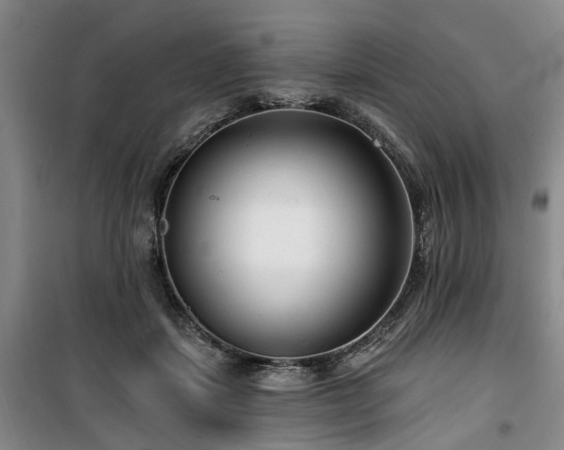 X0000100200459200805301314