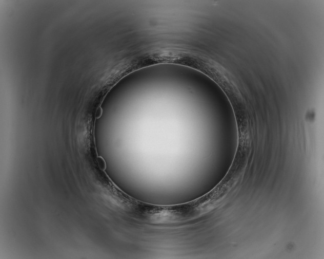 X0000100200460200805301314