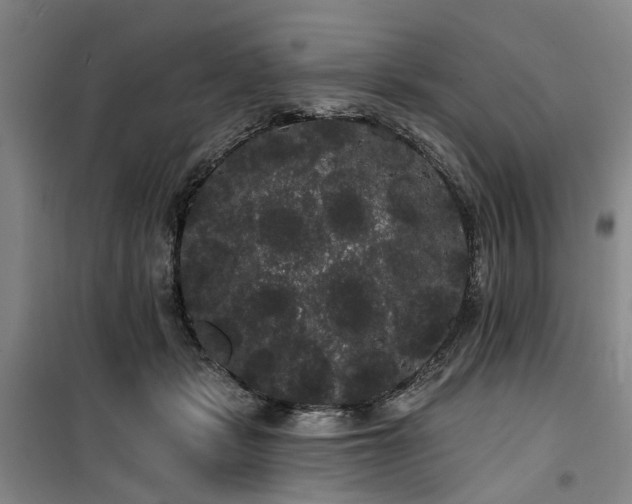 X0000100200461200805301314