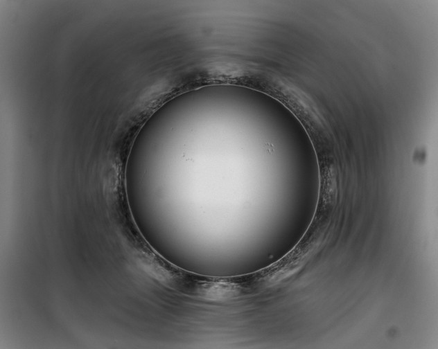 X0000100200463200805301314