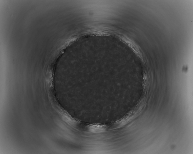 X0000100200465200805301314