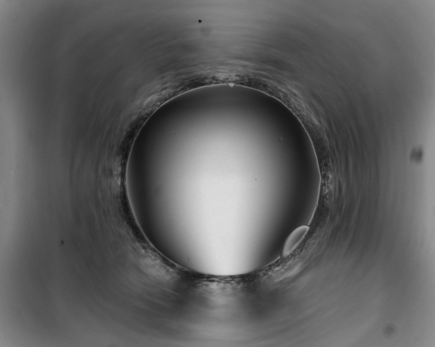 X0000100200466200805301314