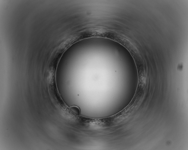 X0000100200468200805301314